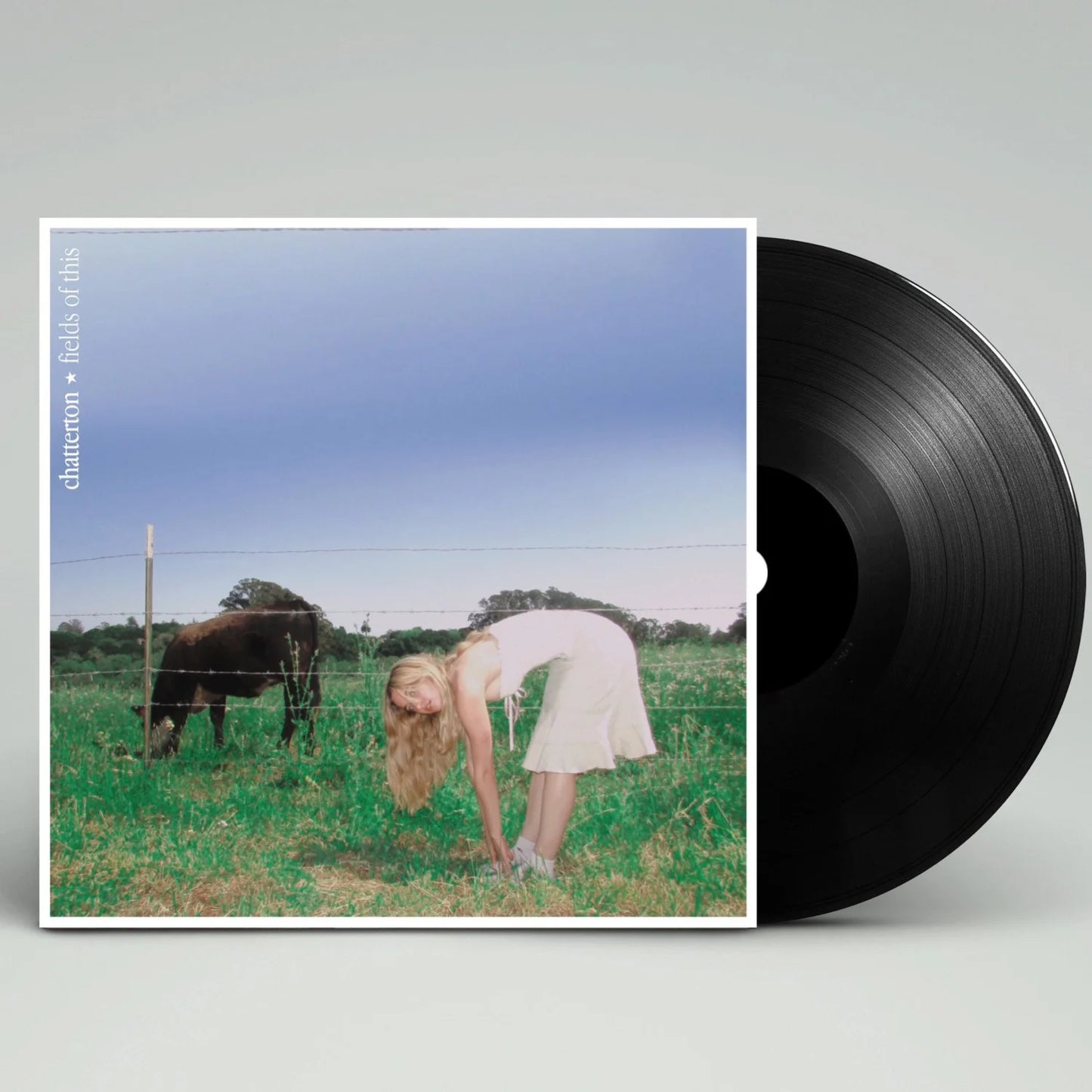 'Fields Of This' Vinyl Record